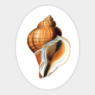 Snail house designer Sticker